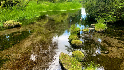 納池公園 綺麗な湧水と澄んだ小川
