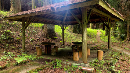 納池公園 綺麗な湧水と澄んだ小川