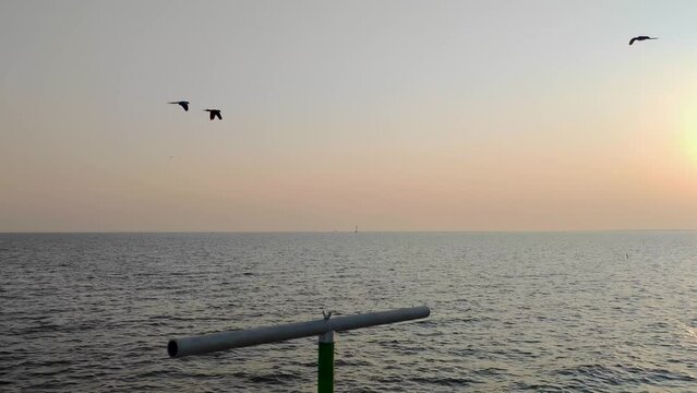 Silhouette Parrot Bird with sunset  in Bang Pu seaside is one of the beautiful bird watching and Sunset viewpoints in Sichan Pradit Bridge Viewpoint in bangpu samutprakarn thailand