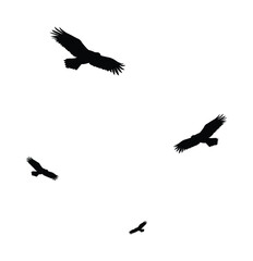 A group of flying birds silhouettes in vector shape.