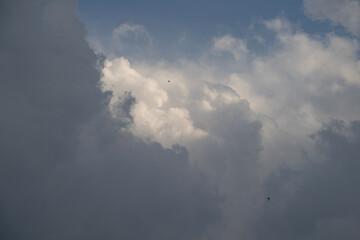 A Dramatic Cloudscape with Swifts