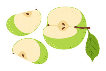 Cut apple with apple wedge cartoon set. Cross section of cut apple, slices fruit, Hand drawn trendy flat style isolated Vector illustration