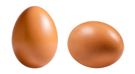 Brown egg on white background.