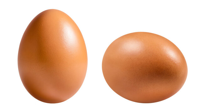 Brown egg on white background.