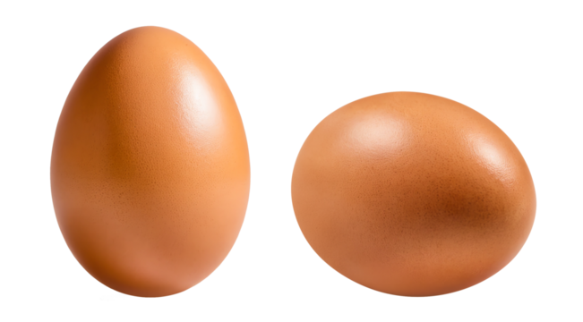 Brown egg on white background.