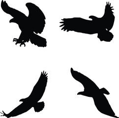 silhouettes of eagle