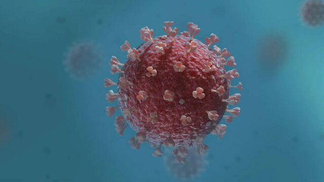 Influenza virus