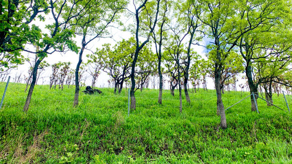 阿蘇の絶景ドライブコース
