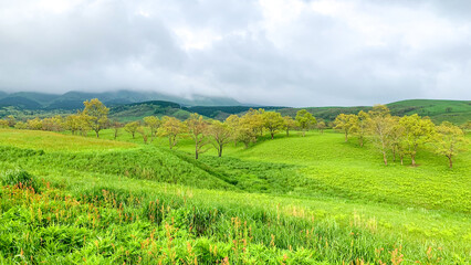 Fototapeta premium 阿蘇の絶景ドライブコース