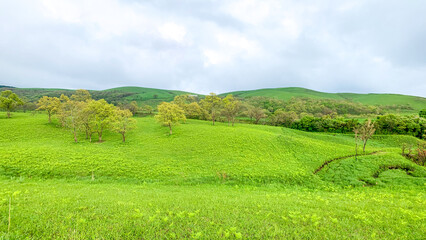 阿蘇の絶景ドライブコース