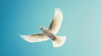 Obraz premium Bird soaring across the clear blue sky