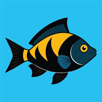 recommend clip art: Solid color Cichlid animal vector design