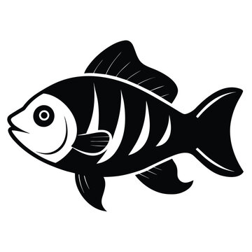 recommend clip art: Solid color Cichlid animal vector design