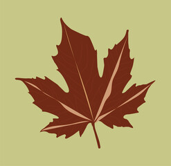 Set of decorative floral design elements Flower icon collection light blue flower on a white backgroun vector illustration on white background
Spring flowers colorful vector