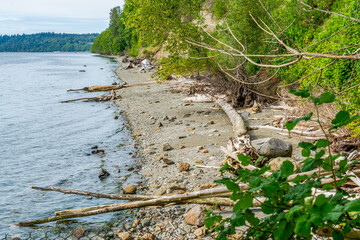 Ocean Park shoreline Landscape