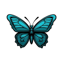 butterfly isolated on white