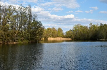 Rumpenheimer Badesee