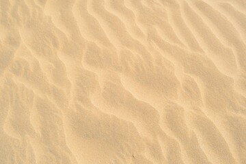 Fototapeta na wymiar sand texture background