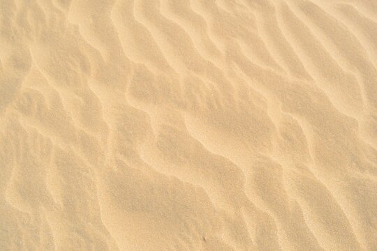sand texture background