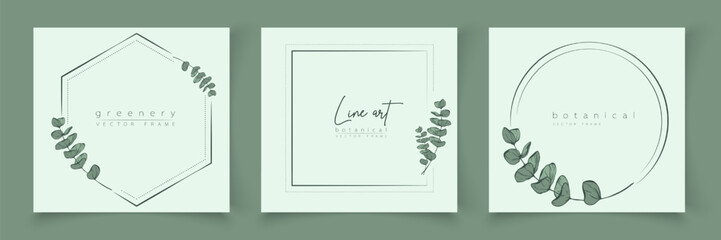 Botanical eucalyptus frame set. Hand drawn round, rectangle, hexagon line border, leaves and flowers for wedding invitation and cards, logo design, social media and posters template. Elegant minimal. © taniKoArt