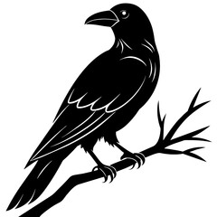 Crow sitting on a branch vector silhouette illustration.