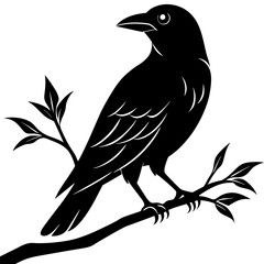 Crow sitting on a branch vector silhouette illustration.