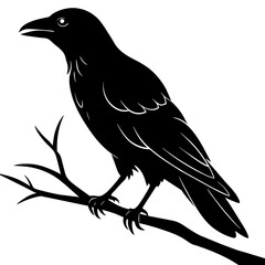 Obraz premium Crow sitting on a branch vector silhouette illustration.