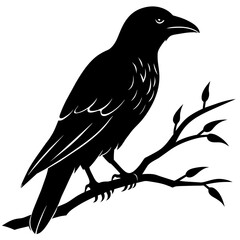 Crow sitting on a branch vector silhouette illustration.