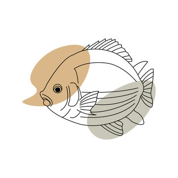 recommend clip art: Fish line art vector sketch art drawing illustration
