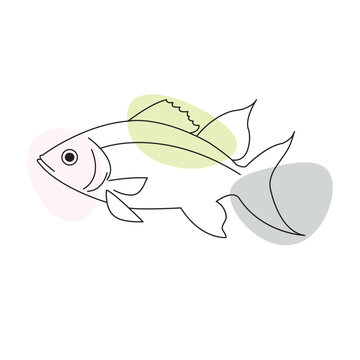 recommend clip art: Fish line art vector drawing