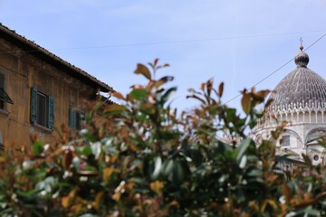 Blick in die Altstadt von Pisa in Italien