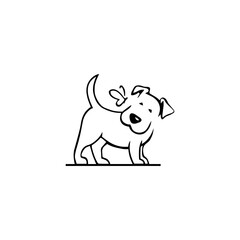 dog and cat