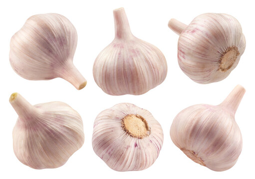 Garlic isolated set. Collection of garlics isolated on a transparent background, from different angles.
