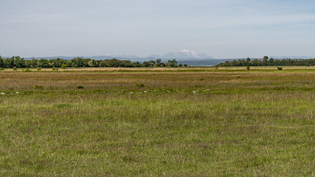 steppenartige Wiesenlandschaft im Vordergrund, schneebedecktes Bergmassiv im Hintergrund, abgegrenzt durch Baumlandschaft