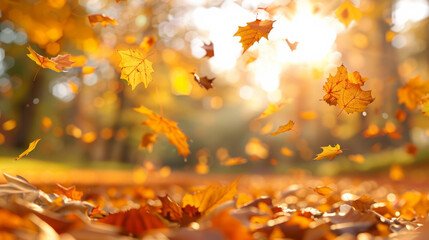 Beautiful autumn landscape with yellow trees and sun. Colorful foliage in the park. Falling leaves natural background