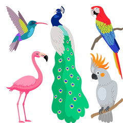 Seamless Pattern Peacock, Parrot, Flamingo, Calibri