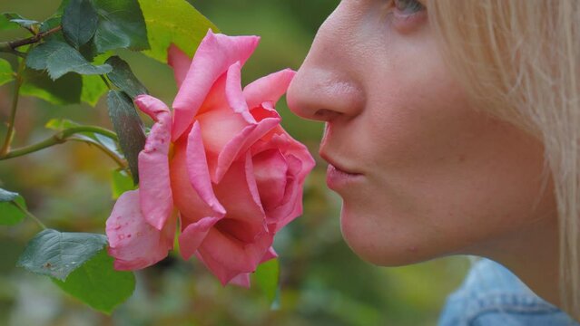 Woman sniffing big red rose on tree with closed eyes close-up, summertime Beautiful young woman with interesting classic profile buried her nose in fragrant red roses growing in garden in park