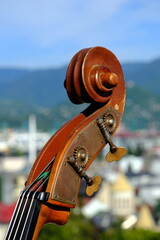 head and pegs of a hand-carved double bass against a city background