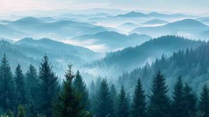 Fototapeta premium Foggy morning view of snow-covered mountains and forest with clouds in the sky