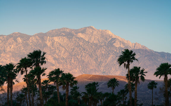 Sunrise in the Desert