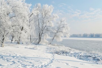 Obraz premium Tranquil Winter Scene with Snow-Covered Trees and Frozen River Reflecting Nature's Beauty. Copyspace Available in Sky and Snow for Text Overlay.