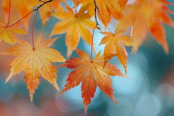 Many leaves hanging from tree