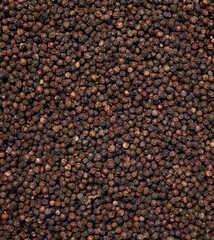 top view background of black peppers (Piper nigrum). Native to Malabar coast of India, it is widely used in culinary as spice and seasoning around the world.