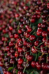 fresh young cherries on the counter of a Turkish bazaar