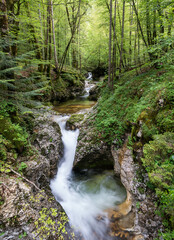 Water flows down a stream in the Julian Alps Slovenia