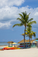 Beach scene with tall coconut trees, cabanas and Kayaks.