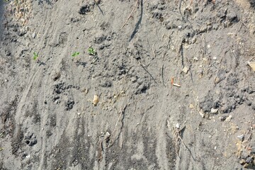 Soil on the hill from the escarpment