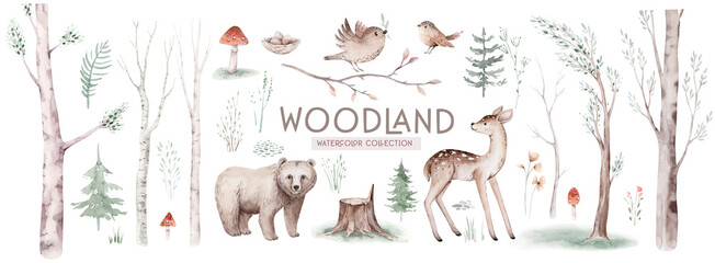 Cute baby fox, deer animal nursery rabbit and bear isolated illustration for children. Watercolor boho forest drawing, , hedgehog image Perfect for nursery posters