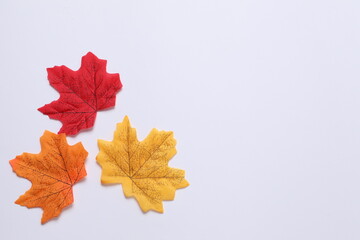 autumn leaves on white background