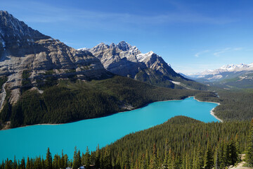 Beautiful Peyto Lake, Banff National Park, Alberta, Canada